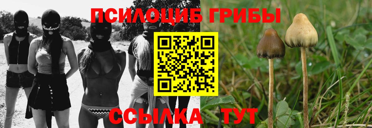наркотики  Галлюциногенные грибы Cubensis  Вход с VPN  Галлюциногенные грибы мухоморы  Кандалакша 